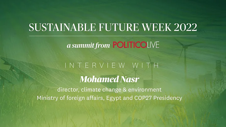 Interview with Mohamed Nasr, Ministry of foreign a...