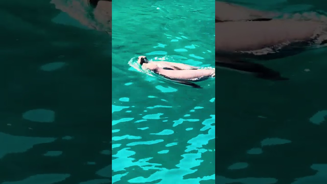 Sea of Cortez Sailing Summer Adventures 