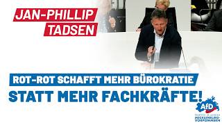 Jan-Phillip Tadsen: Red-Red creates more bureaucracy instead of more skilled workers!
