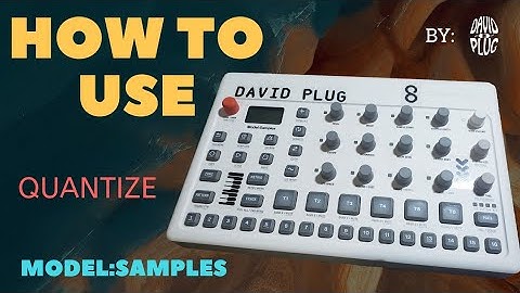 How to use the Model:Samples - Quantize