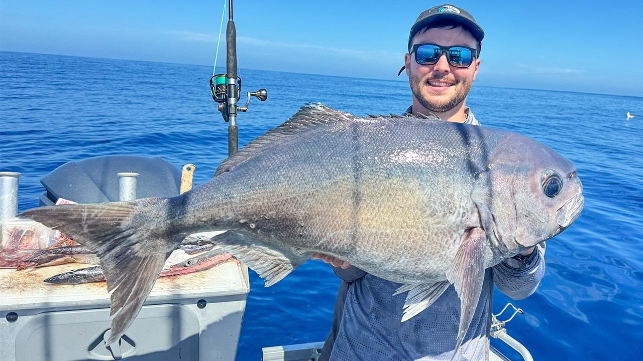 Глубоководная рыбалка, ловля невероятного количества ГИГАНТСКИХ раков и наблюдение за БОЛЬШИМИ су...