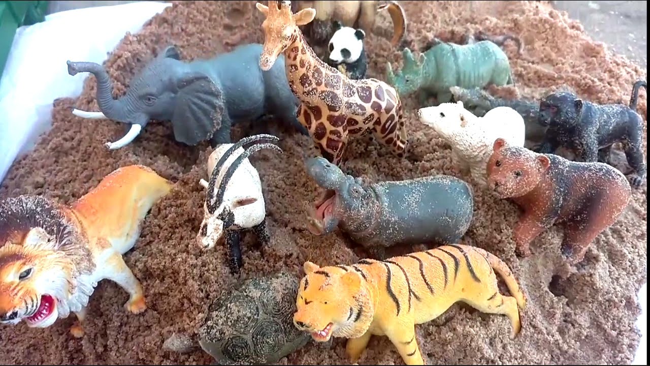 sand animals toys