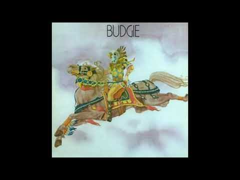 Budgie-Homicidal Suicidal