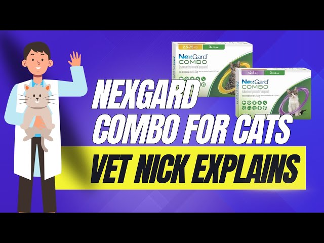 Revolutionize Cat Protection: Nexgard Combo for Cats 3 sddefault