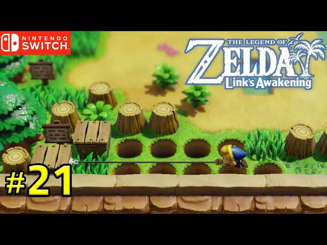 Secret Seashell 44 - The Legend of Zelda: Link's Awakening Guide - IGN