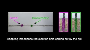 haptic exploration with a robot at Imperial College, DLR and CNRS