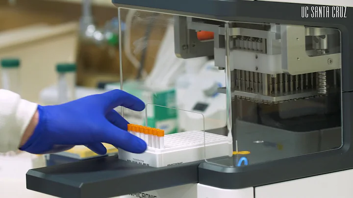 How the Molecular Diagnostics Lab processes COVID-19 tests