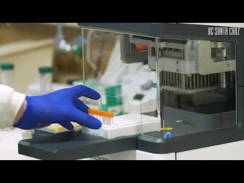 How the Molecular Diagnostics Lab processes COVID-19 tests
