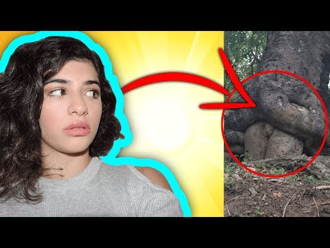 რასაც ერთხელ დაინახავ მას მეორეჯერ ვეღარ დაინახავ