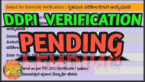 Yuva Nidhi Application DDPI Verification Pending 💯 Solution || Status Not Changed Yet | Save Shidhu
