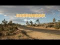 Travel vlog  joshua tree day trip