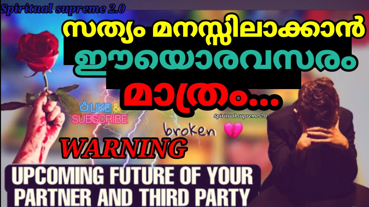 Complete removal of third party situation from your relationship ♥️✨💯💔♥️🤯🫢🤗😘💖#reunion #love #tarot