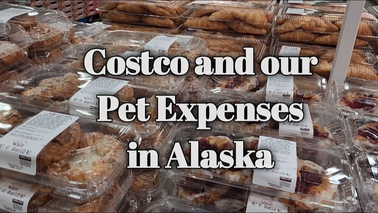 Costco and Our Pet Expenses in Alaska YouTube