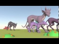 Animal and Creature Locomotion and Performance