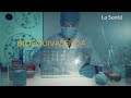 Bioequivalencia La Santé