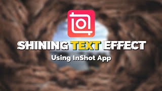 Celebrity Shining Text Effect Intro Using InShot App Net Worth