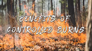 Controlled Burning on Your Property