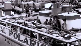 Captain Bill Poole - IGFA Fishing Hall of Fame