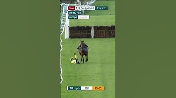 HILARIOUS commentary from Tommo as rider is unseated from horse 🤣