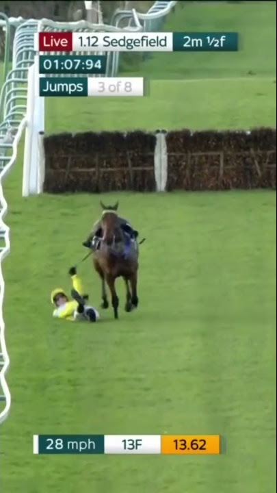 HILARIOUS commentary from Tommo as rider is unseated from horse 🤣
