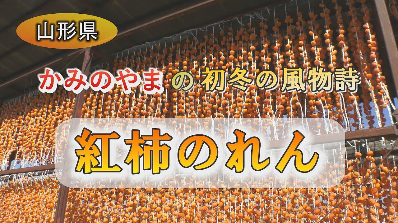 かみのやまの初冬の風物詩 紅柿のれん - YouTube
