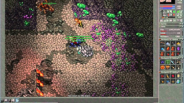 Tibia - Honera Server - Massacre