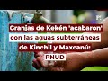 Video de Kinchil