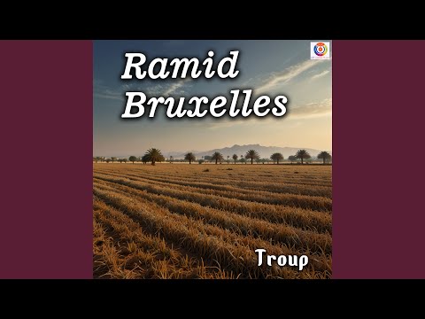 راميد بروكسل