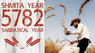 5782 - The New Sabbatical Year
