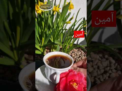 يا صباح الورد و القهوة    قه