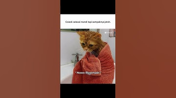 Meme internet lucu #shorts #memeindonesia #meme #memefb  #memesdaily #funny #funnyvideo #memerandom
