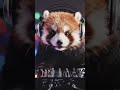 DJ Panda #ai #cute #funny