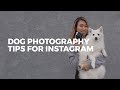 How to take the BEST DOG PHOTOS for Instagram | Easy Photography Tips