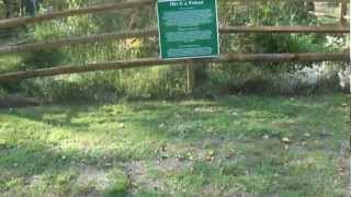September 25 2012 Millbrook Dog Park Tour Blog