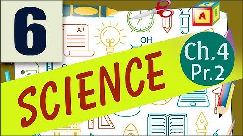 Class 6 Political Science L 4 Key Elements of a Democratic Government Part 2 28july Video