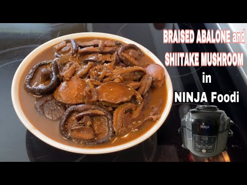 Hol mushuk porno video