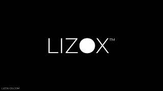 Multi-User RBAC in Local-First CRM: Admin vs Manager Access Control in LIZOX OS