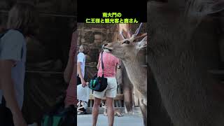 南大門の仁王様と観光客と鹿さん