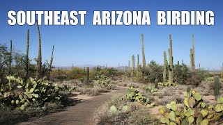 Southeast Arizona Birding: 40 Must See Target Birds.