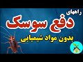 روشهای دفع سوسک بدون استفاده از حشره کش ها و مواد شیمیایی سوسک ها را طبیعی دفع کن روشهای دفع سوسک بدون استفاده از حشره کش ها و مواد شیمیایی سوسک ها را طبیعی دفع کن