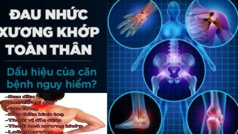 Trị Đau Nhức Xương Khớp Bằng Cây Ngưu Tất (Cỏ Xước)Sừng Trâu