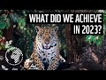 How you helped make a difference in 2023  wwf