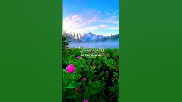 ما عندكم ينفد وما عند الله باق // بصوت القارئ عبد الرحمن مسعد// حالات واتس// #القرآن_الكريم
