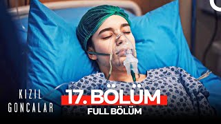 Kızıl Goncalar 17 Bölüm