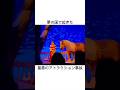 翌日には再開した模様#ディズニー#アトラクション#事故#解説#ジケンだヨ