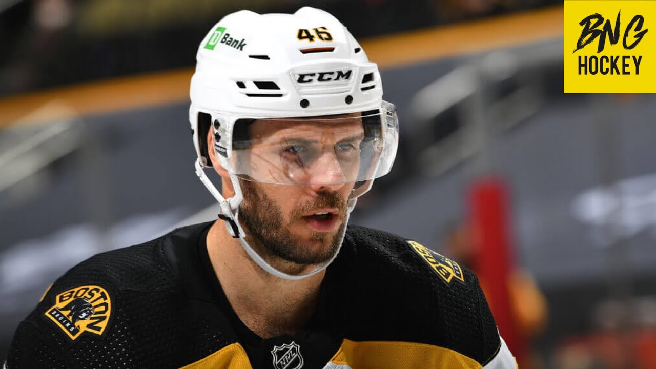 Krejci Leaves Bruins, Will Return to Czech Republic - The Hockey News