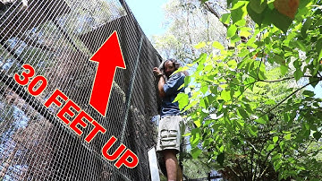 I CAUGHT A WILD DIAMOND PYTHON IN THE REPTILE PARK! - Dāv Kaufman Vlogs