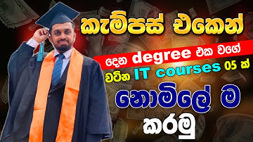 Best Online Free IT Courses with Free Certificates | කැම්පස් එකේ degree එක වගේ Free Courses