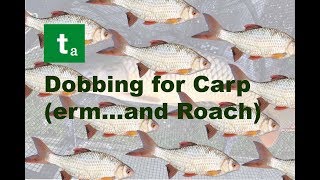 VLOG11 - Dobbing for Carp with Maggots