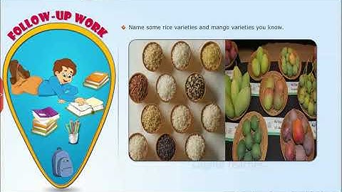 Cultivation - Crops, Class 5 EVS SSC | Digital Teacher